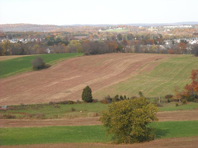 View from the tip of Ladder 77